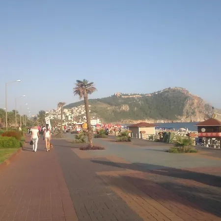 Musti Alanya