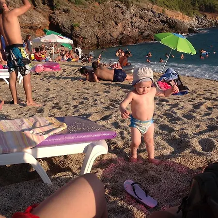Musti Alanya